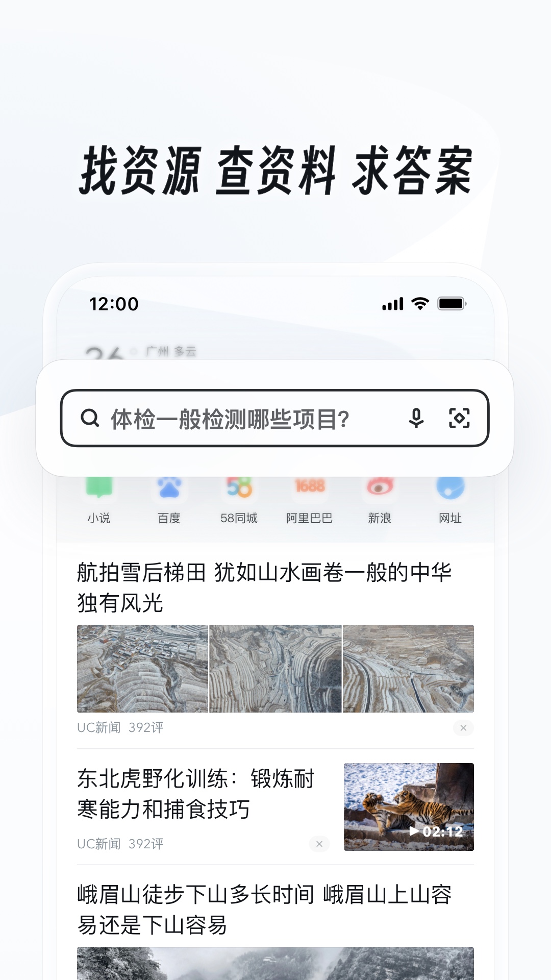 [公益] 合肥上海喵咪S招奴 attachment截图
